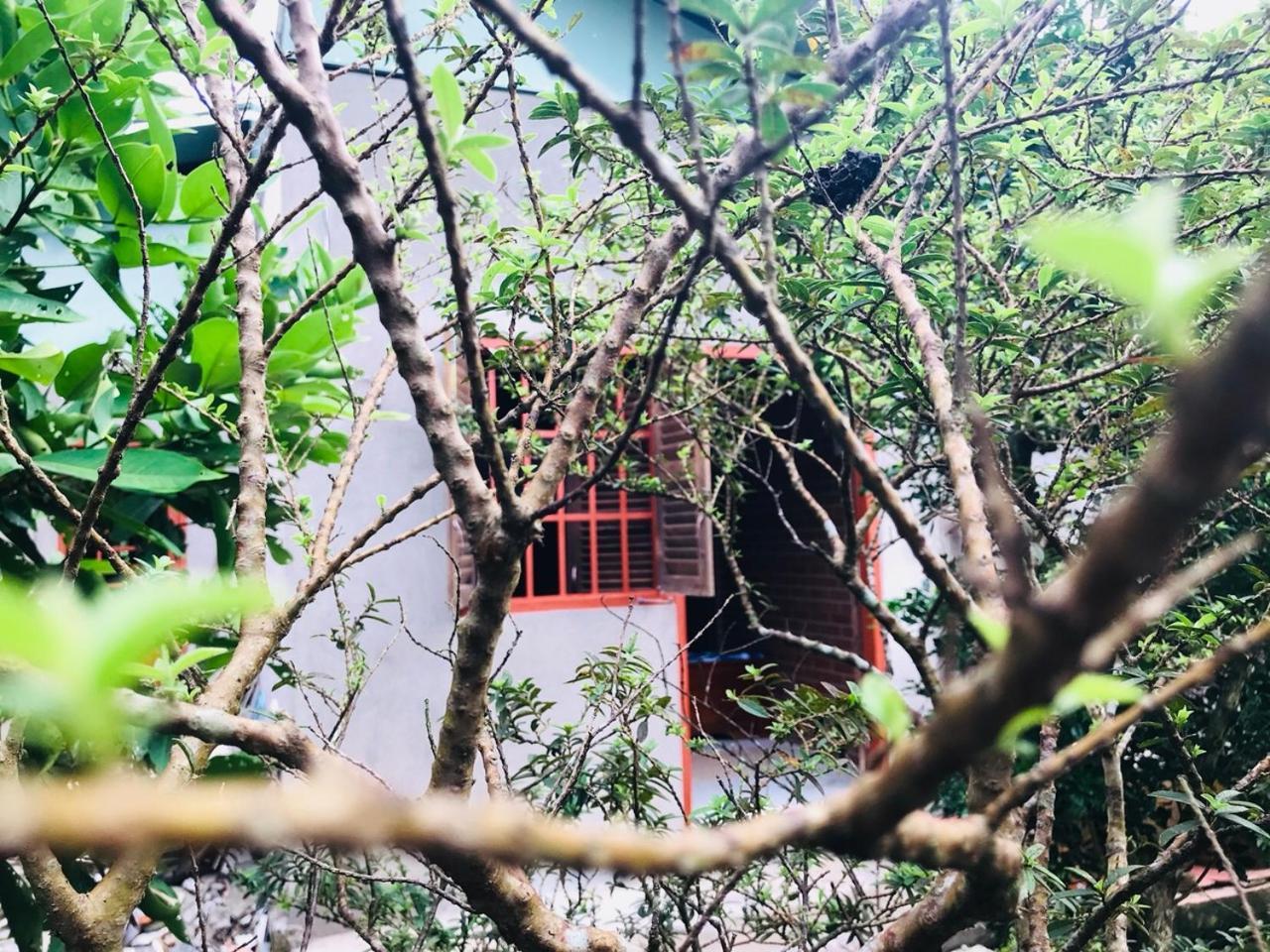 Apartament Mekong Rustic Cai Be Zewnętrze zdjęcie